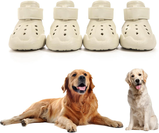Set of pet croc-style boots with two dogs wearing them on a white background