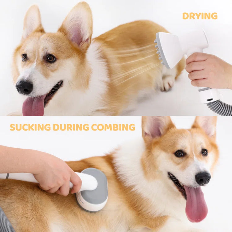 7 in 1 Dog Grooming Vacuum & Dryer Kit with 2.5L Dust Cup, Adjustable Speed and Temperature