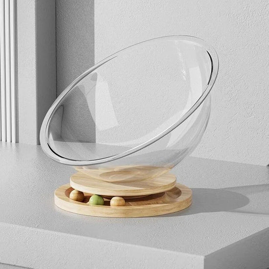 Acrylic Space Capsule Cat Bed – Clear Bubble Lounge
