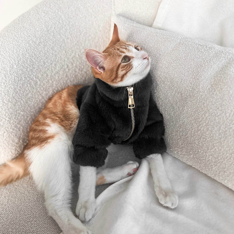 Furi Pet Coat - Noir - The Max & Rex Collection