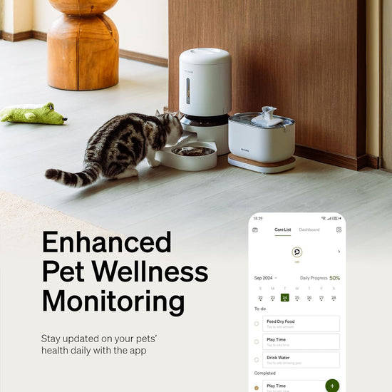 Dockstream Wireless Water Pump App Cat Fountain | Smart Stainless Steel Hydration System with App Tracking