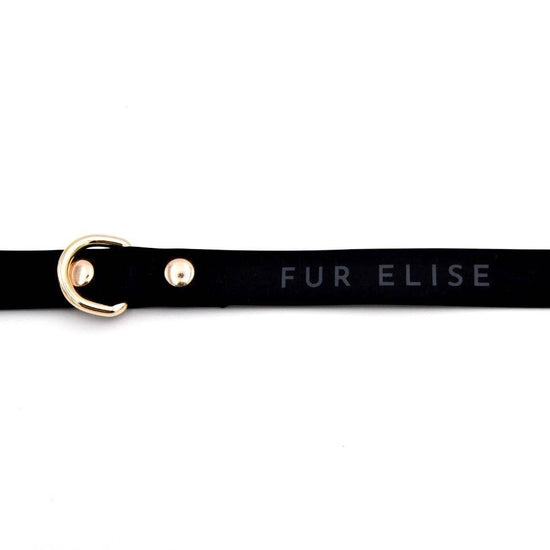 Elise Leash - Noir - The Max & Rex Collection