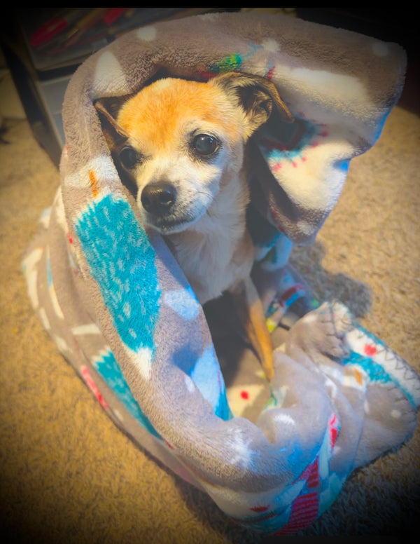 Photo of Mia