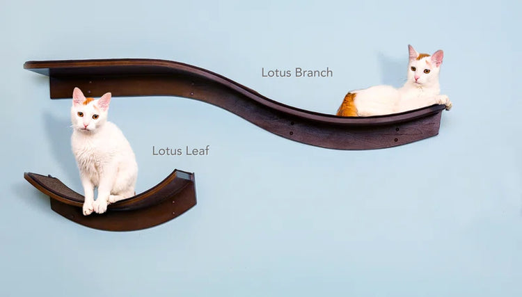 Lotus Branch Cat Perch
