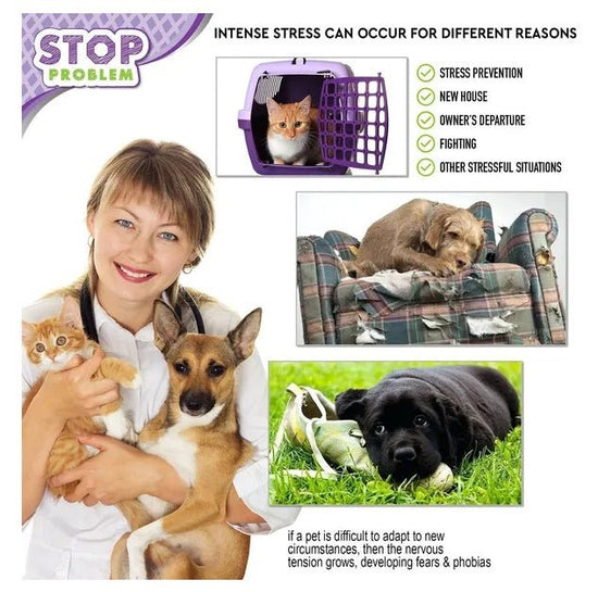 Cat Calming Diffuser β Pheromone Plug-In for Stress & Anxiety Relief