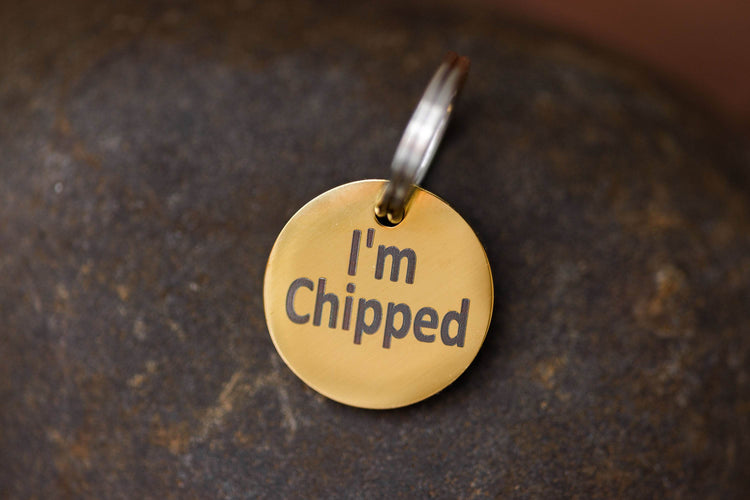 Stainless Steel Pet Tag – “MICROCHIPPED” or “I’m Chipped” Safety Charm - The Max & Rex Collection
