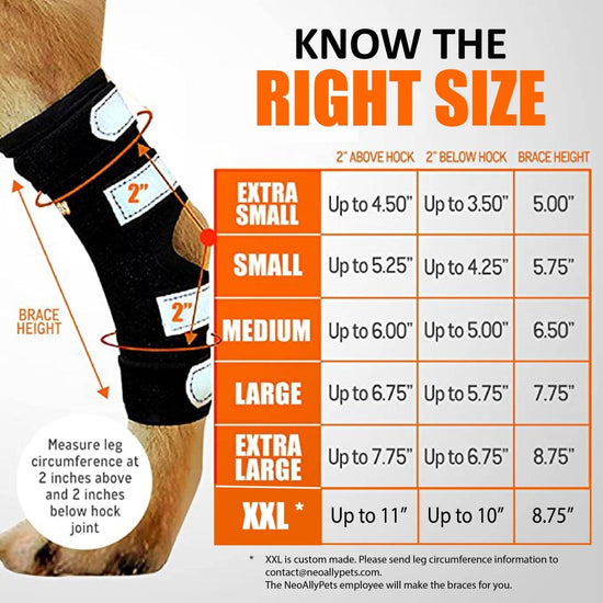 3-in-1 Long Rear Leg Hock Brace for Dogs – Rigid & Spring Inserts, Reflective Safety Straps (Pair)