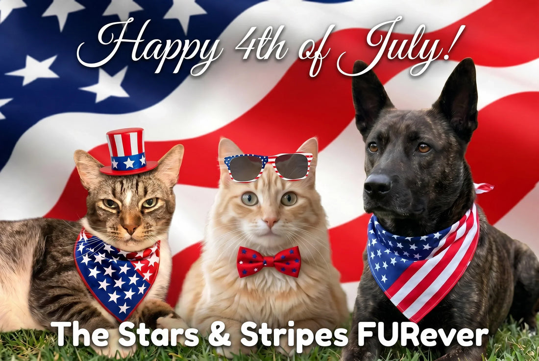 Are Your Pets Fourth of July Ready?
