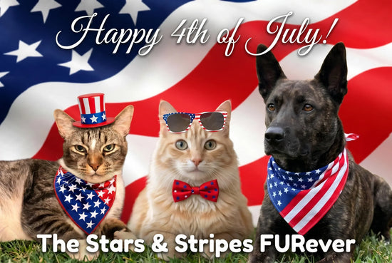 Are Your Pets Fourth of July Ready?