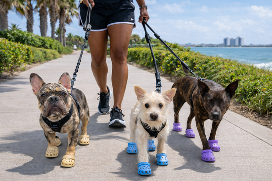 Hot Pavement = Hot Paws!