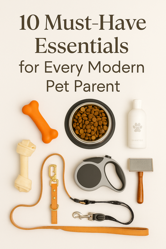 10 Must-Have Essentials for Every Modern Pet Parent - The Max & Rex Collection