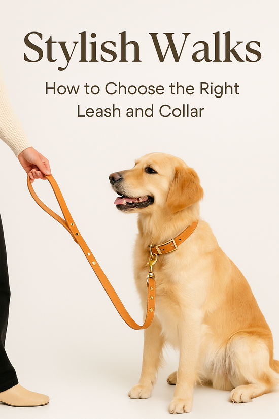 Stylish Walks: How to Choose the Right Leash & Collar - The Max & Rex Collection