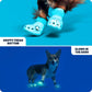 Barkbox Aqua Crocs Dog Shoes – Set of 4 Glow-In-The-Dark Dog Booties with EVA Foam, Adjustable Strap & Non-Slip Sole – Comfortable Paw Protection for Large Breeds (51-80 Lbs)
