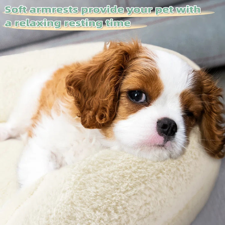 2-Piece Set Pet Beds for Medium Dogs and Cats, Thick Foam Pet Sofa with Removable Cover and Solid Wood Legs