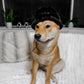 Furi Pet Hat - Noir