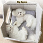 Luxury Plush Indoor Pet House – Soft & Cozy Dog and Cat Bed with Warm Cushion