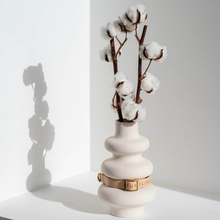 Elise Collar - Sand - The Max & Rex Collection
