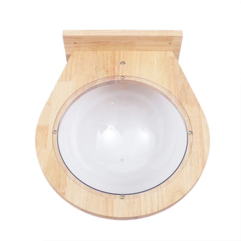 Averly Space Capsule-Style Transparent Cover Wall Mounted Cat Bed