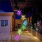 Solar Garden Wind Chime – LED Color-Changing Lights with Crystal Ball & Hummingbird Design - The Max & Rex Collection