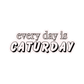 Every Day Is Caturday Sticker - The Max & Rex Collection