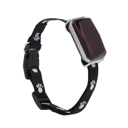 GPS Tracktive pet positioning collar