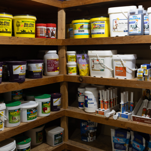 If My Pet Likes You Then So Do I Sticker - The Max & Rex Collection