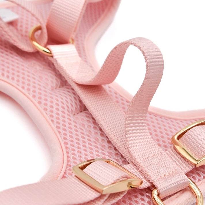 Elise Harness - Rose - The Max & Rex Collection