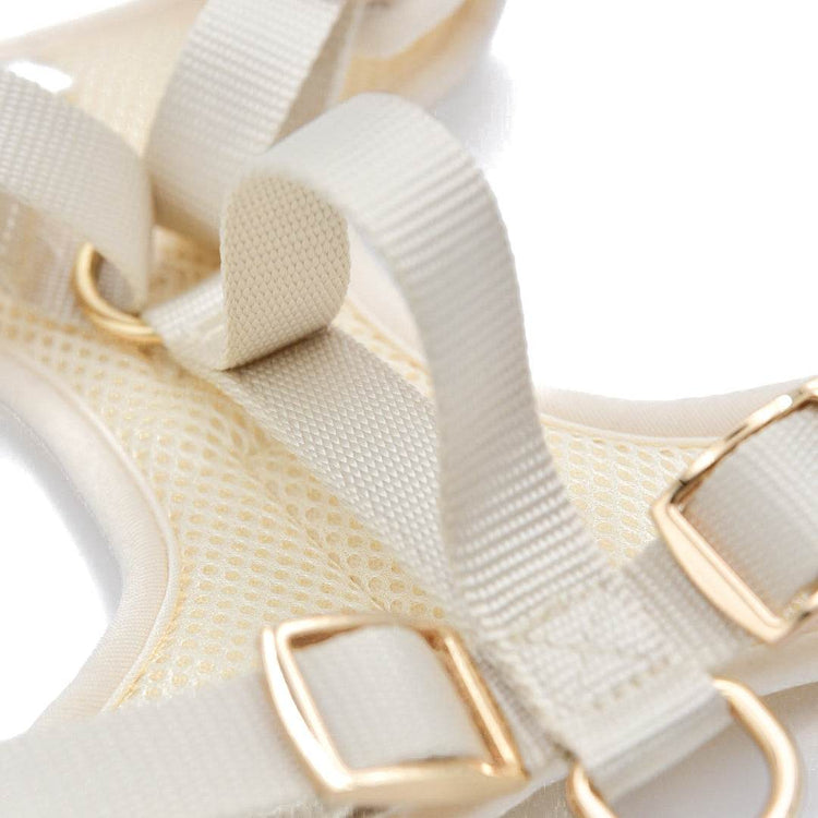 Elise Harness - Bone - The Max & Rex Collection