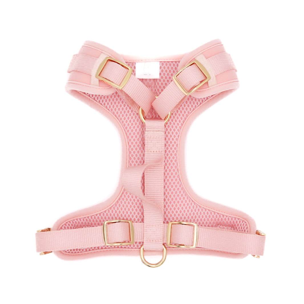 Elise Harness - Rose - The Max & Rex Collection