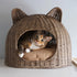 Emiliann Cat Ear Coastal Handwoven Rattan Cat Bed with Machine-Washable Cushion