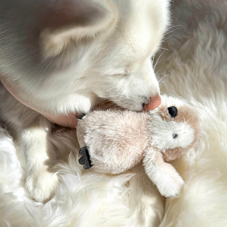 Pegy Mini Plushie - The Max & Rex Collection