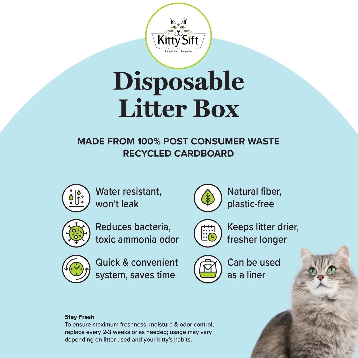 Eco-Friendly Disposable Litter Box Large (Pack of 6) - The Max & Rex Collection