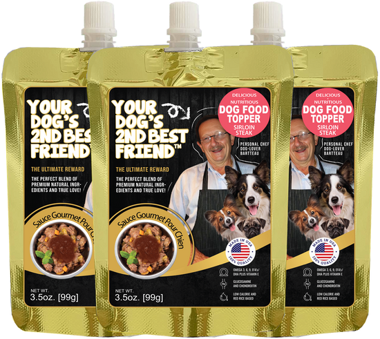 Premium Nutritional Gravy Blend for Dogs | Therapeutic Wellness & Palatability Supplement
