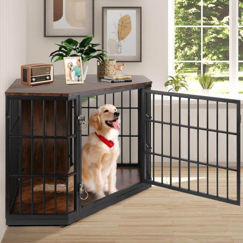 Dog standing in a large metal pet crate with a wooden top in a room with a window and plants.
