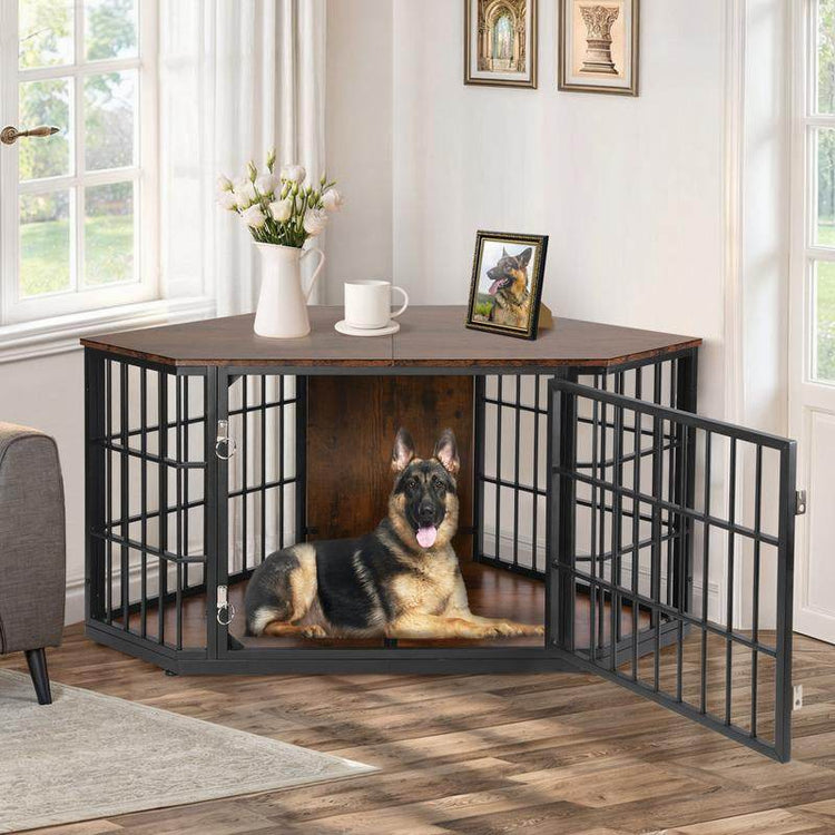 Dog inside a wooden crate with a black metal frame in a room with a window and decor.