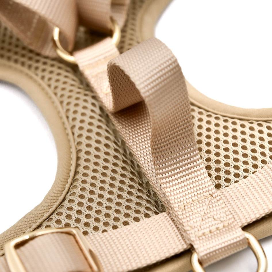 Elise Harness - Sand - The Max & Rex Collection