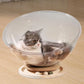 Acrylic Space Capsule Cat Bed – Clear Bubble Lounge