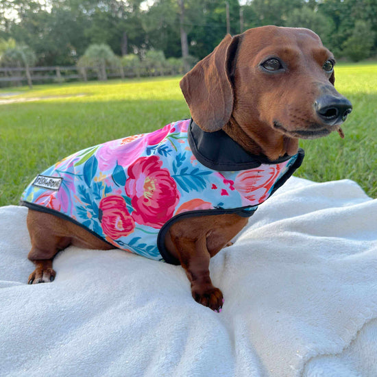 Southern Bloom Dog Coat – Limited Edition Floral Waterproof Jacket with UPF Protection