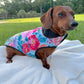 Southern Bloom Dog Coat – Limited Edition Floral Waterproof Jacket with UPF Protection
