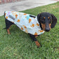Dachshunds & Daisies Dog Coat – Limited Edition All-Weather Jacket for Long-Bodied Breeds