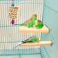 Hummingbird Bird Nest, Handwoven Straw Grass Hanging Bird Hut Grass Woven Parakeet Breeding Cave Cozy Resting Place Sparrow House for Cockatiel Parrots Parakeet Conures Finch (H02) - The Max & Rex Collection