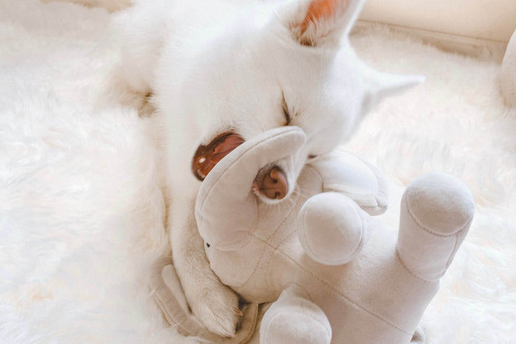 Ella Plushie - The Max & Rex Collection