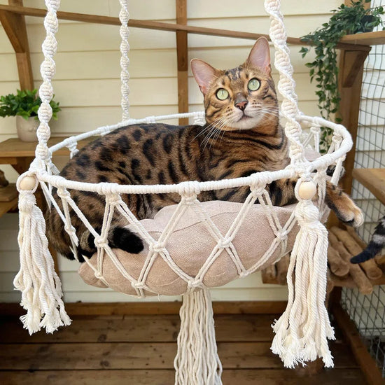 Emellie Bohemian Style Cat Hammock, Cat Swing with Hanging for Sleeping, Indoor/Outdoor Home Décor