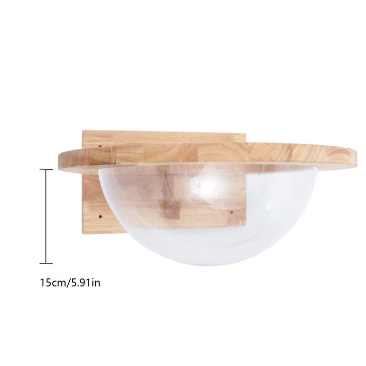 Averly Space Capsule-Style Transparent Cover Wall Mounted Cat Bed