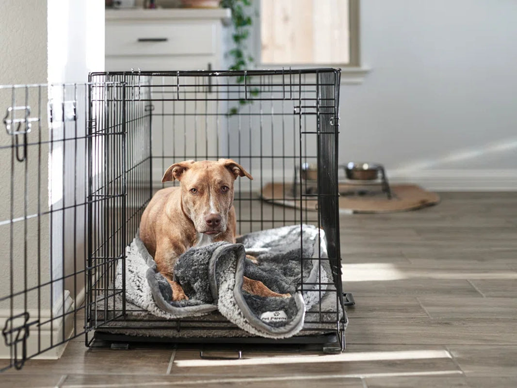 Pawtect® Blanket, Premium Waterproof Dog & Cat Blanket