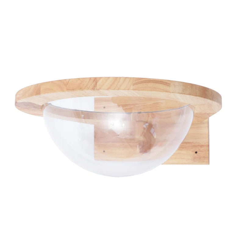 Averly Space Capsule-Style Transparent Cover Wall Mounted Cat Bed