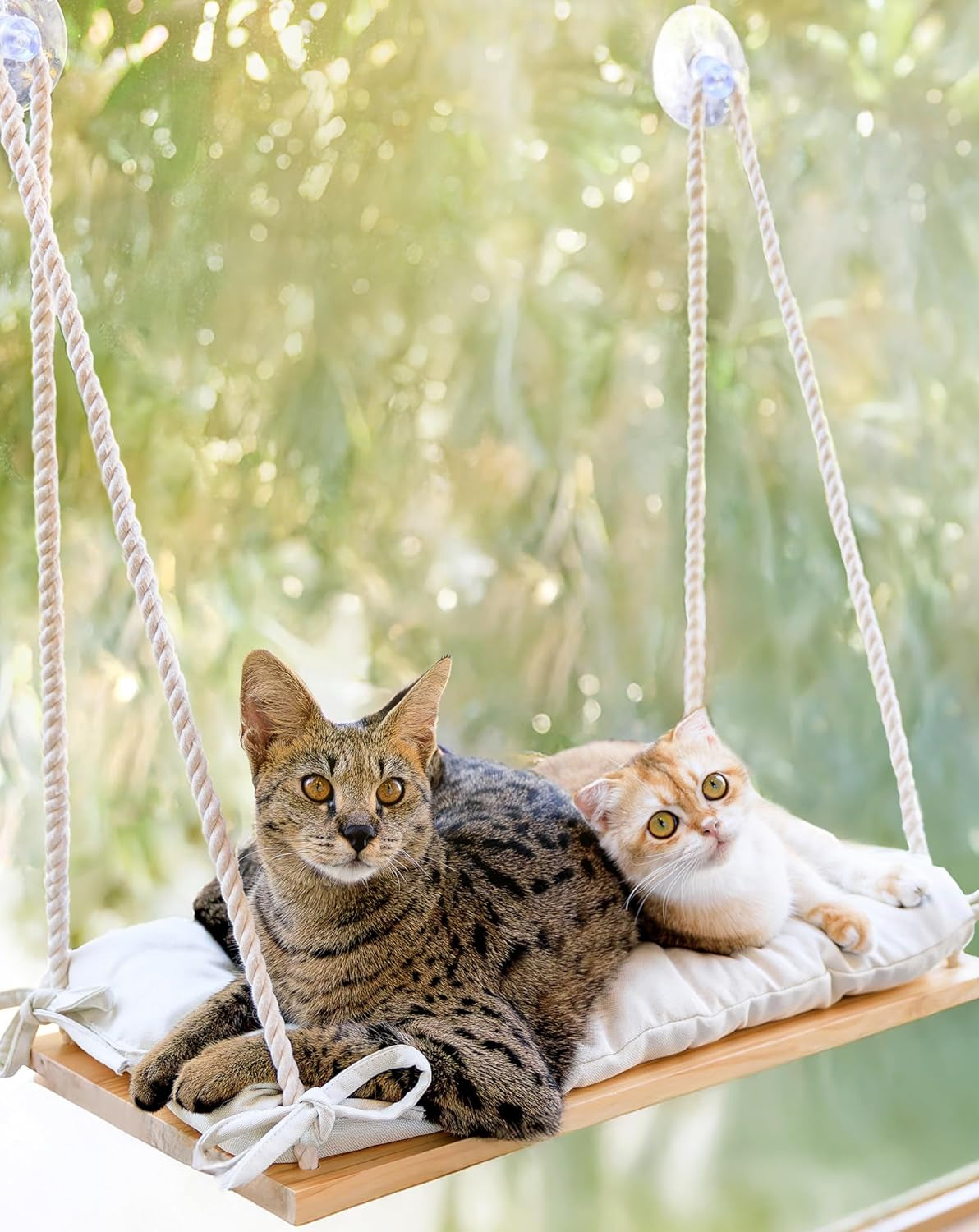 Cat Window Perch - Hammock Bed for Cats inside - Solid Wood Seat, 4 Strong Suction Cups, Soft Cushion - Rustic Indoor Pet Shelf