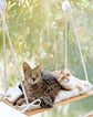 Cat Window Perch - Hammock Bed for Cats inside - Solid Wood Seat, 4 Strong Suction Cups, Soft Cushion - Rustic Indoor Pet Shelf