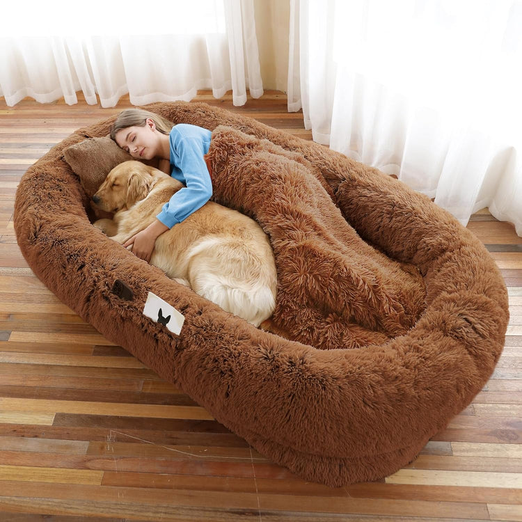 Human Dog Bed, 71&