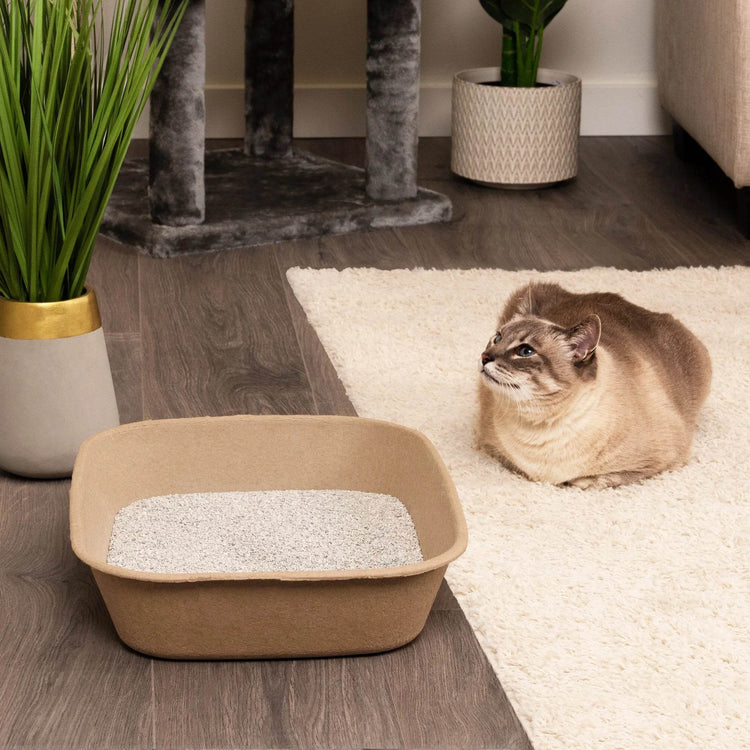Eco-Friendly Disposable Litter Box Large (Pack of 6) - The Max & Rex Collection